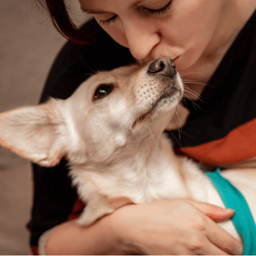 End-of-Life Care: Small Animals