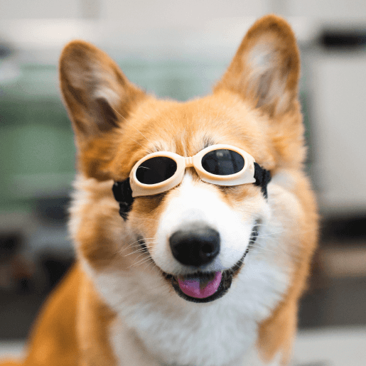 Laser Therapy